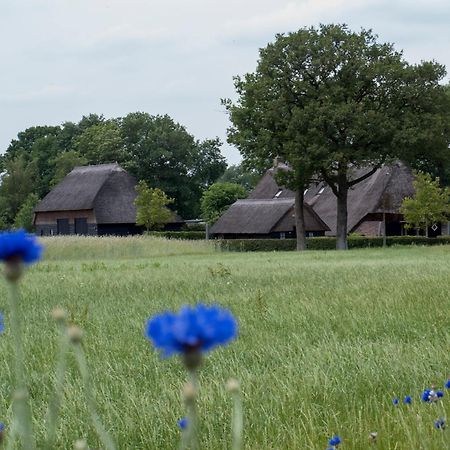 Gastenverblijf Lheederhof 德文格洛 外观 照片
